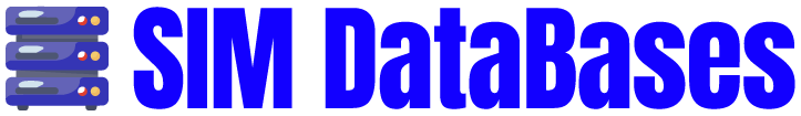 SIM DataBases Logo